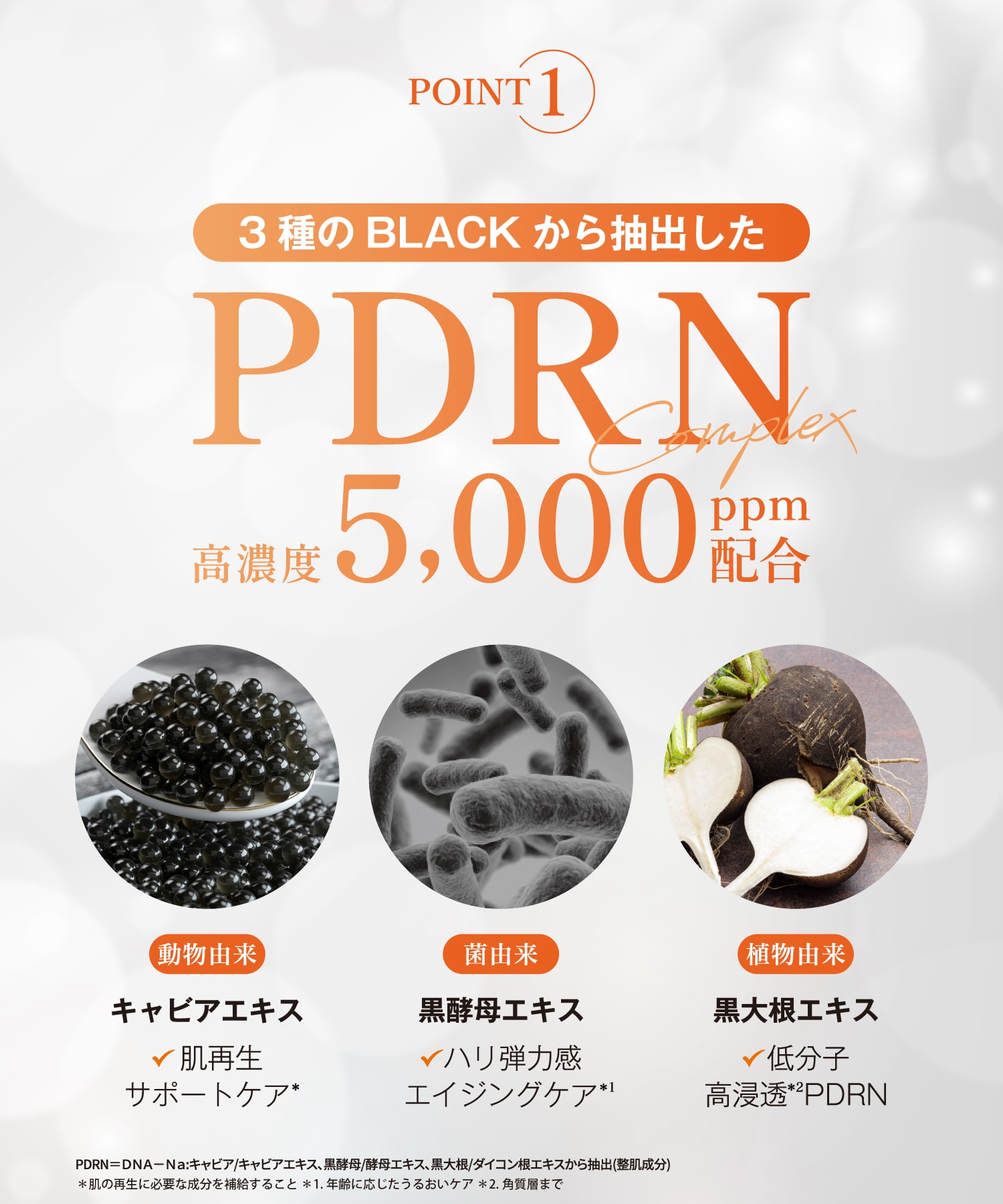 3種のBLACKから抽出したPDRN　高濃度5000ppm配合　動物由来　キャビアエキス　肌再生サポートケア　金由来　黒酵母エキス　ハリ弾力感エイジングケア　植物由来　黒大根エキス　低分子高浸透PDRN