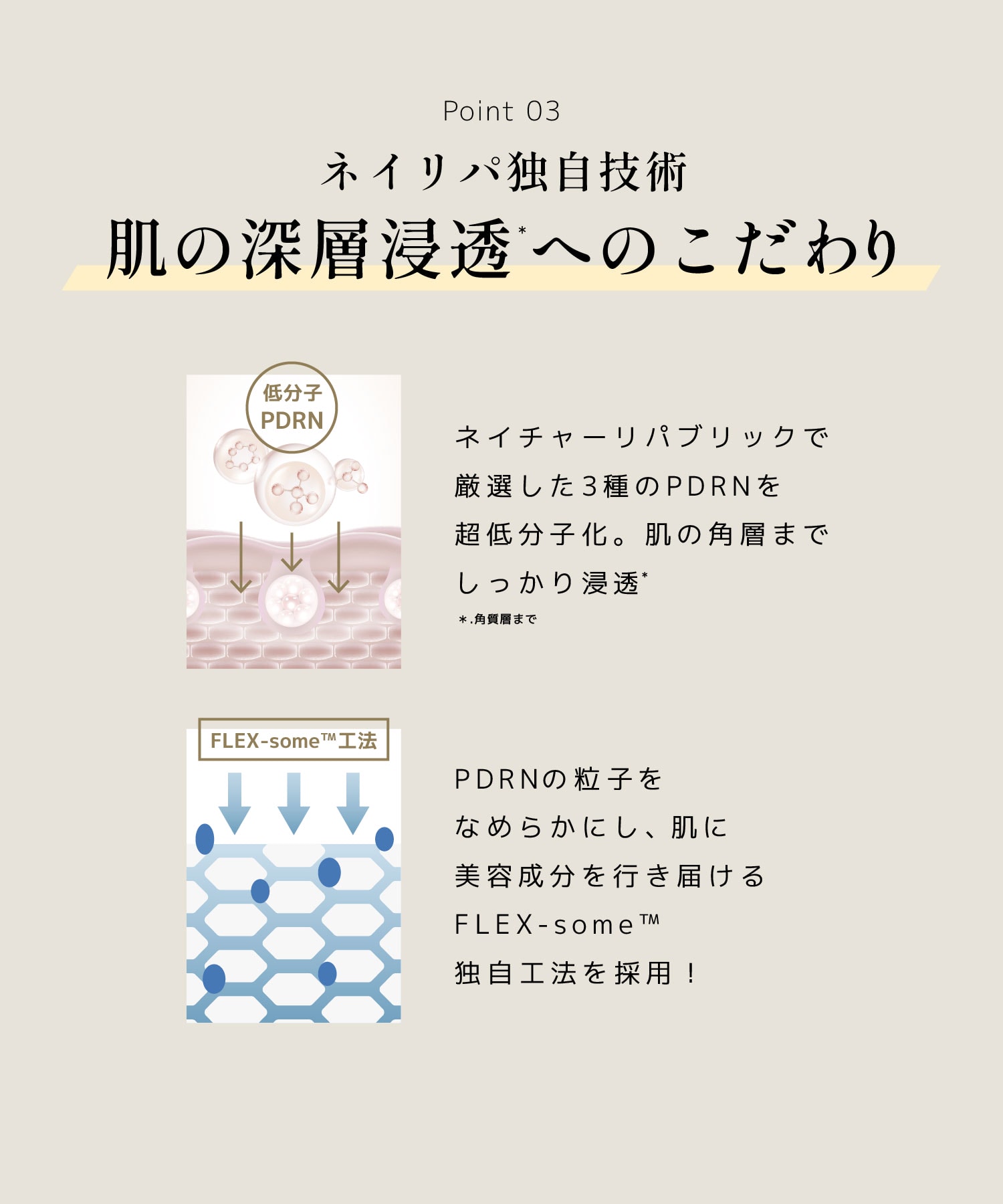 ネイリパ独自技術　肌の深層浸透へのこだわり